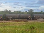 TCBX 306319